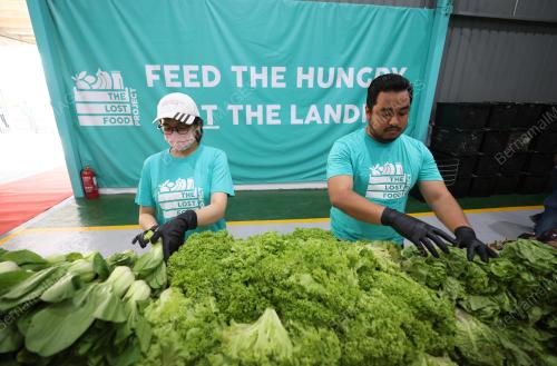 THE LOST FOOD PROJECT