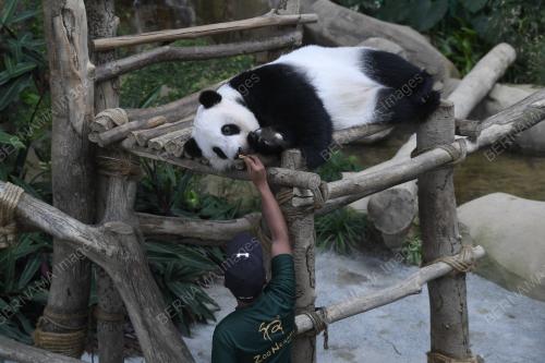 PENGUNJUNG MEMENUHI ZOO NEGARA