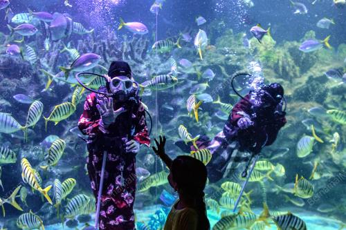 TINJAUAN AQUARIA KLCC