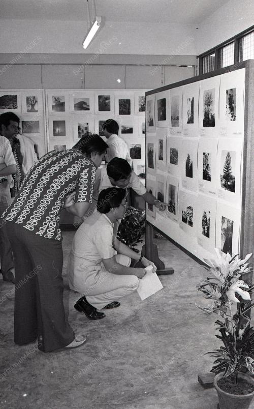 HARI PERHUTANAN DUNIA