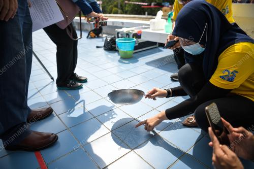 TINJAUAN GERHANA MATAHARI