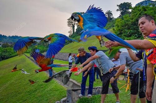 KOMUNITI KUALA LUMPUR FREE FLY