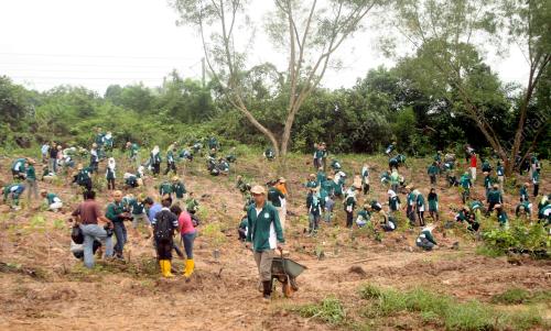 PROJEK PENYELIDIKAN