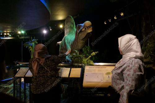 TINJAUAN CUTI UMUM