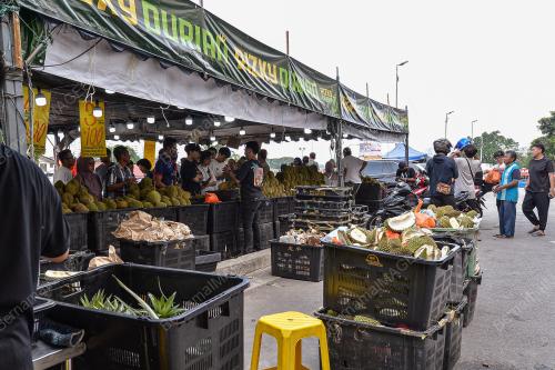 TINJAUAN MUSIM DURIAN
