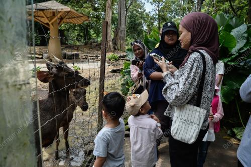 TINJAUAN ZOO NEGARA