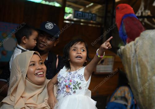 KL16_25112018_KANSER_MATA_BN201811234537