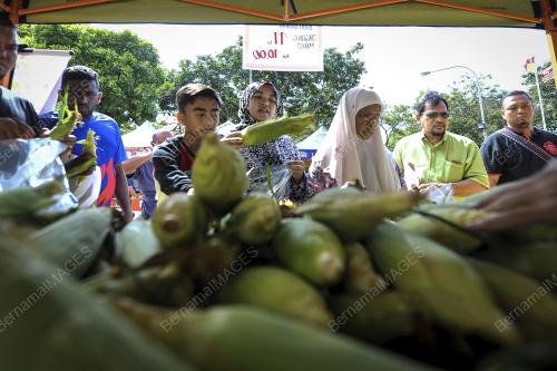 KL16_26052017_FAMA_BN201705255023