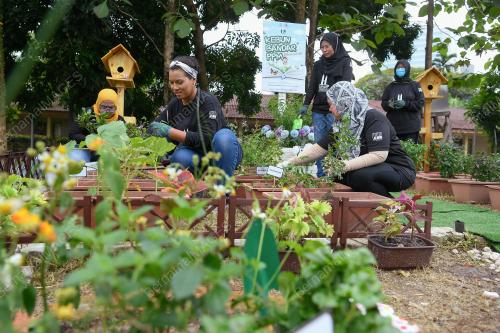 KEBUN BANDAR PERSATUAN PUSTAKAWAN MALAYSIA (PPM) DAN LITTLE FREE