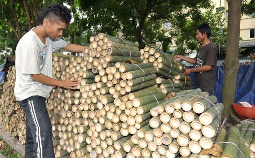 MZ LEMANG