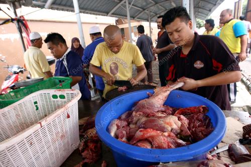 KL16_28082014_KORBAN