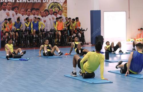 HARIMAU MALAYA