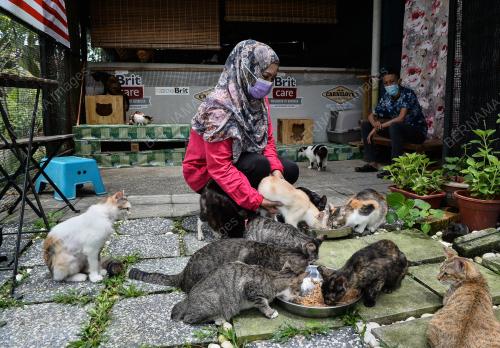 PROGRAM CSR MEMBANTU CAT SHELTERS SEMPENA HARI KEBAJIKAN HAIWAN 2021