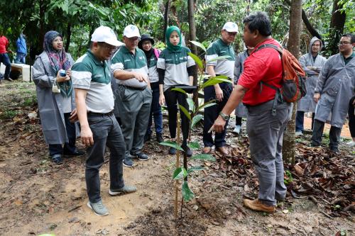 PROGRAM A' REFORESTATION INITIATIVE