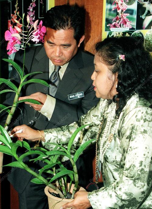 KL17-26_09_2000_EFFENDI-ORKID_13012016