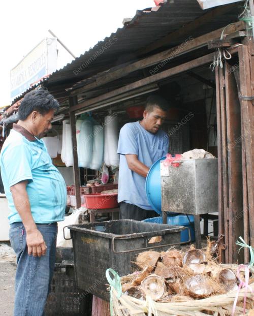 KL17_02012011_KELAPA