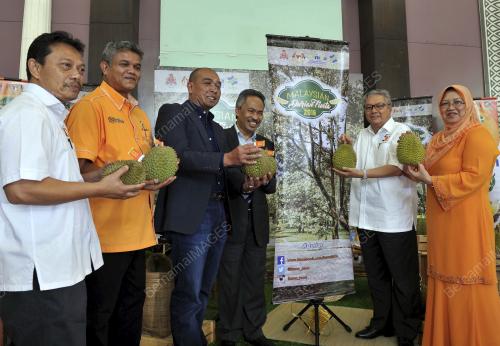 KL17_03062016_DURIAN_FAMA