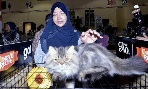 KL17_11062016_PET_WORLD