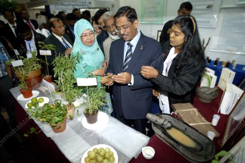 KL17_11112013_SIDDHA