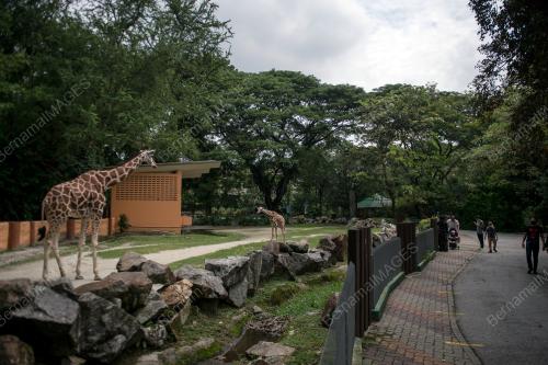 ZOO NEGARA