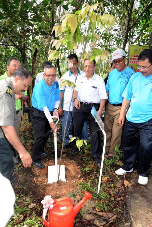 KL17_14052016_MOHAMAD_POKOK