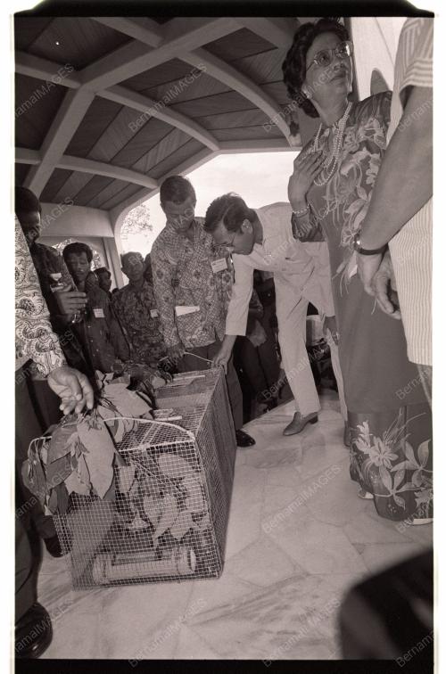 PEMIMPIN ORANG ASLI