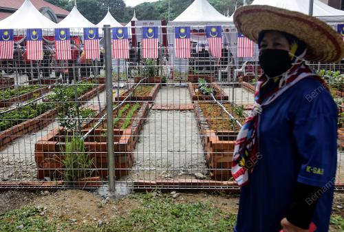 PROGRAM KEBUN KOMUNITI PPR LEMBAH SUBANG 2