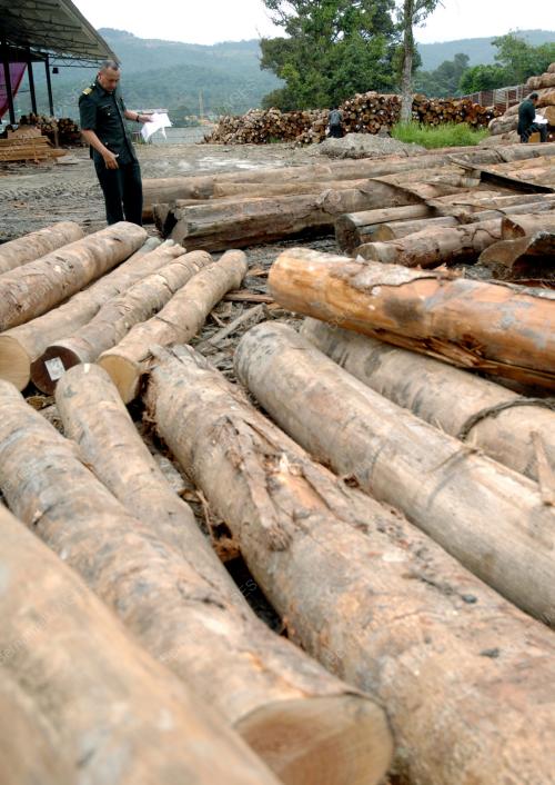 OPERASI KILANG PAPAN