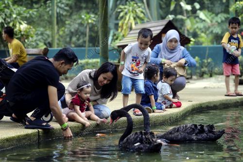 KL17_17092018_TAMAN_BURUNG