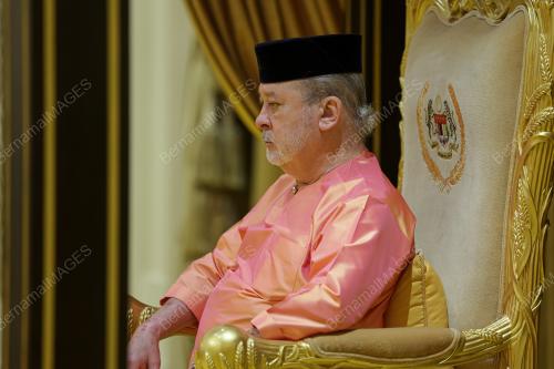 SULTAN IBRAHIM