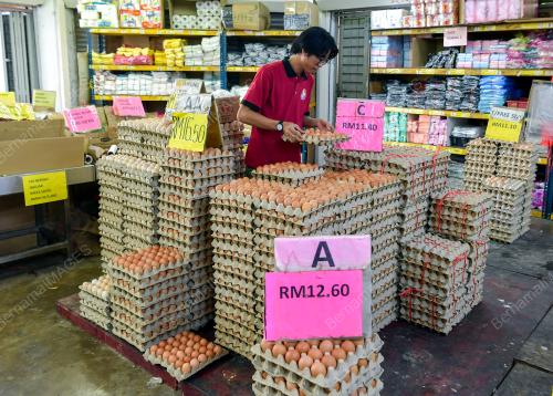 HARGA TELUR TURUN 3 SEN