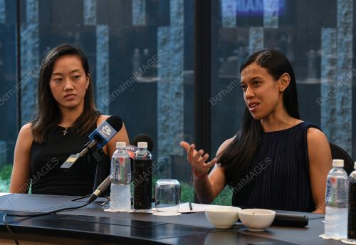 DATUK NICOL ANN DAVID