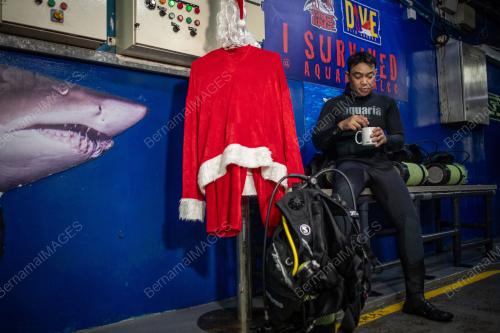 PERSEMBAHAN SANTA CLAUS AQUARIA