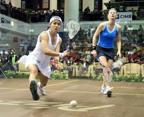 NICOL DAVID