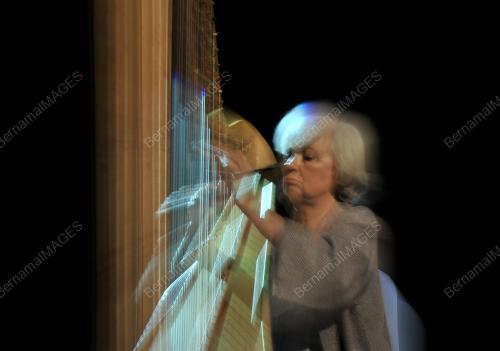 KL17_19032017_HARP