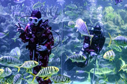 TINJAUAN AQUARIA KLCC
