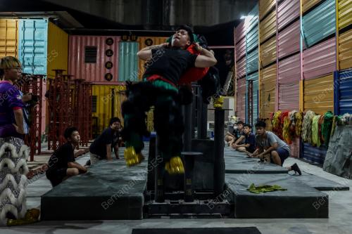 E-XIN DRAGON LION DANCE