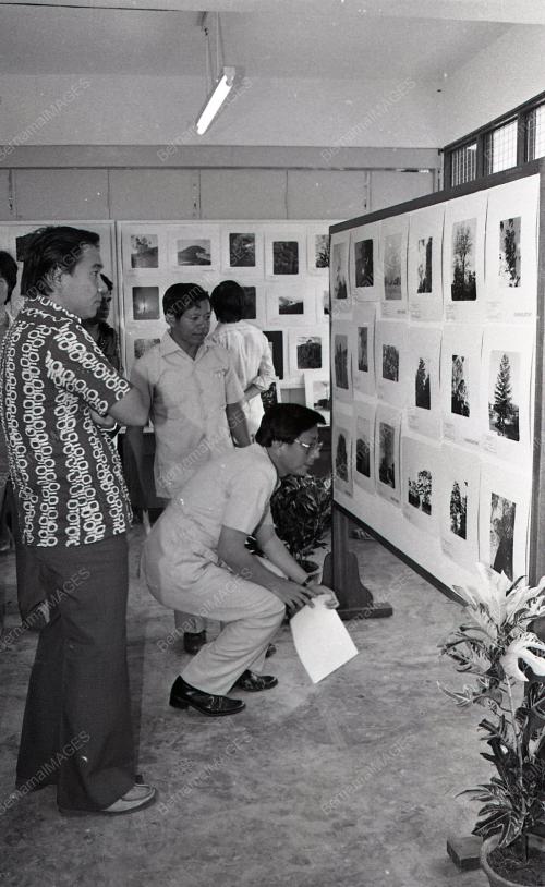 HARI PERHUTANAN DUNIA