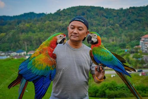 KOMUNITI KUALA LUMPUR FREE FLY
