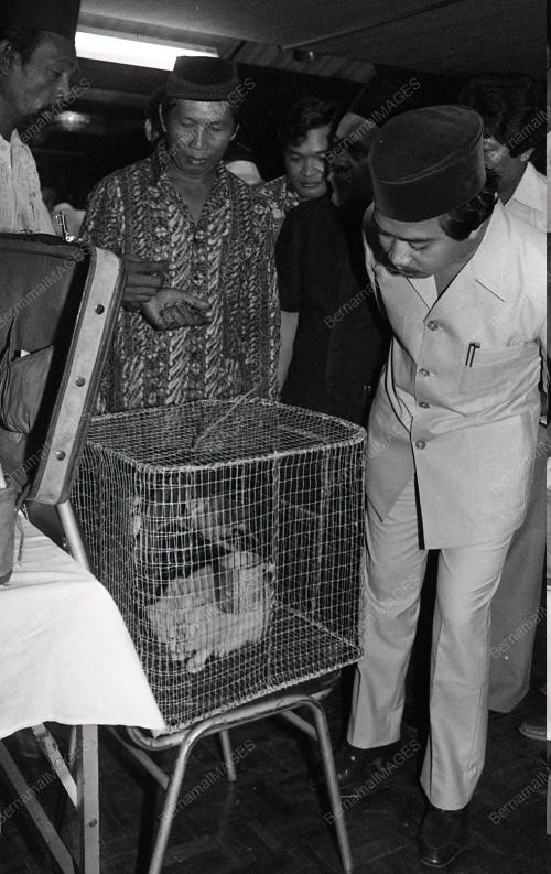 MUHYIDDIN MOHD YASSIN