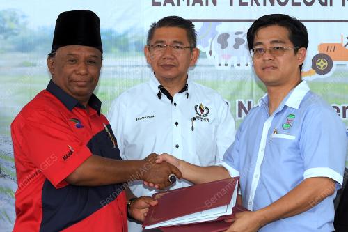 KL17_24112018_MAHA_BN201811214299