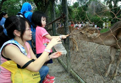 ZOO NEGARA