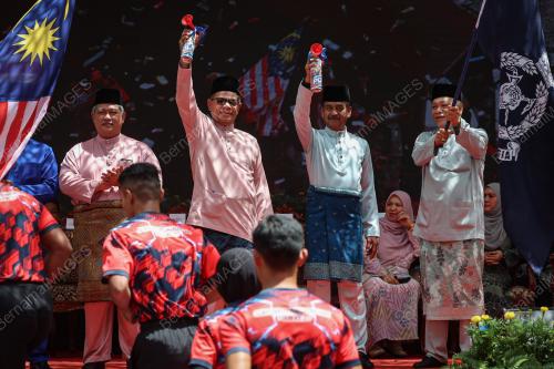 DATUK SERI SAIFUDDIN NASUTION ISMAIL