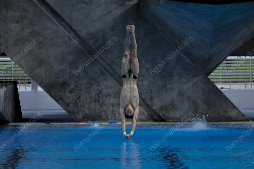 FINA DIVING GRAND PRIX 2022