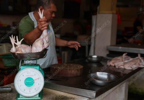 TINJAUAN HARGA AYAM