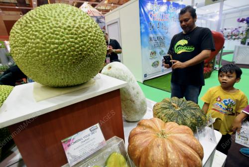 KL17_30092017_PAMERAN_BUAH