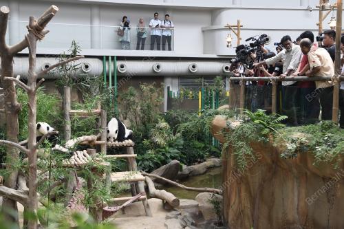 KL18_01082019_PANDA_BN201907316800