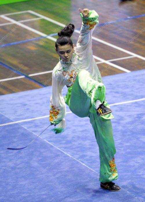 KL18_01112013_WUSHU