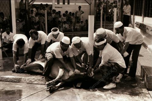 HARI RAYA QURBAN DI KAMPUNG BARU