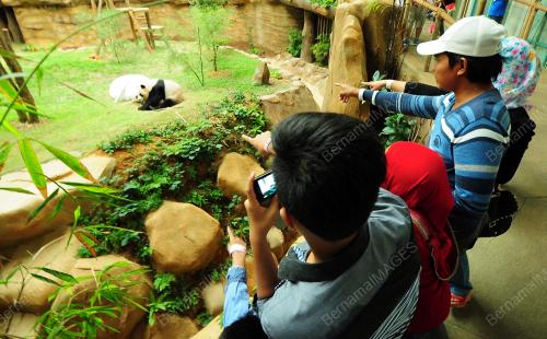 KL18_02082014_PANDA